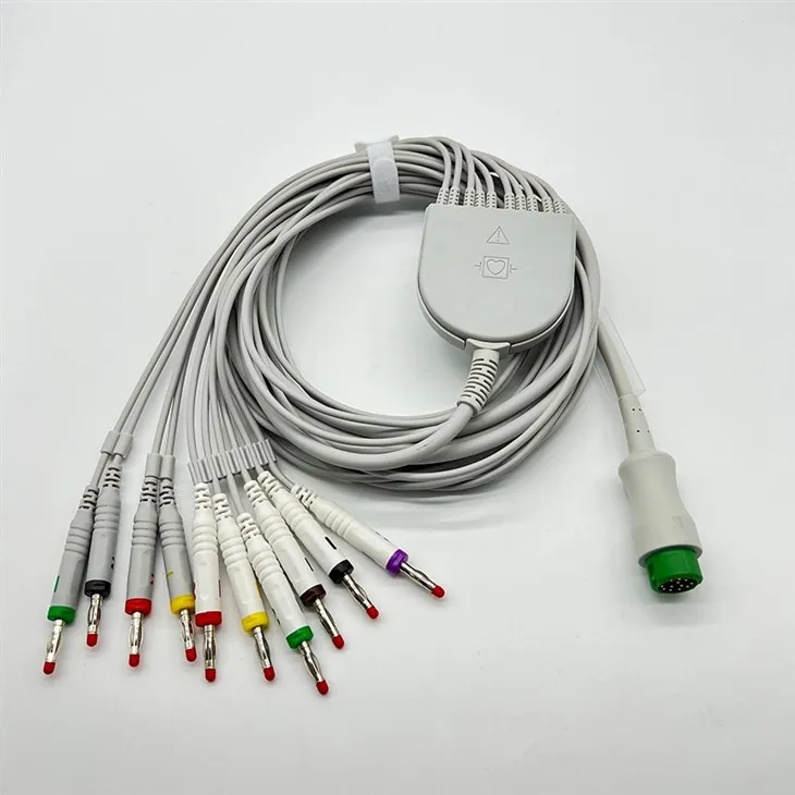 BIOCAR Compatible 12-Pin 10-Lead ECG/EKG Cable best
