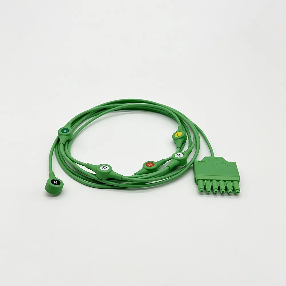 20250115105329 20250115105329